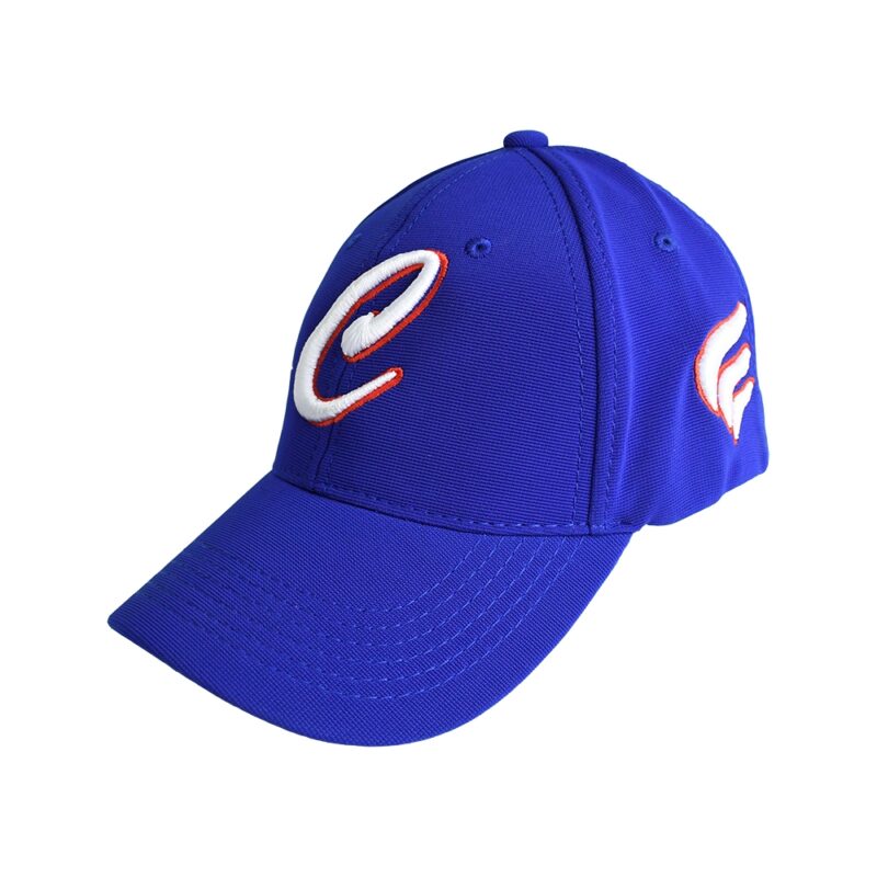 Gorra de la Federación de Béisbol y Softbol de Chile - Imagen 6