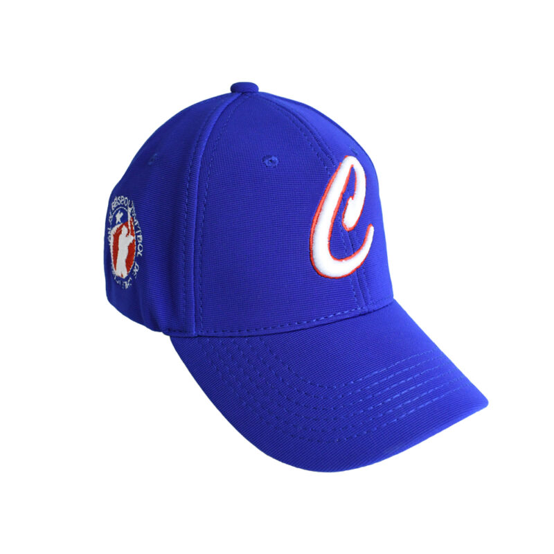 Gorra de la Federación de Béisbol y Softbol de Chile - Imagen 7