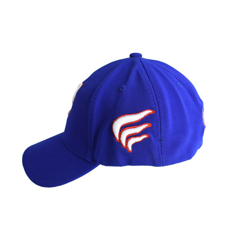 Gorra de la Federación de Béisbol y Softbol de Chile - Imagen 8