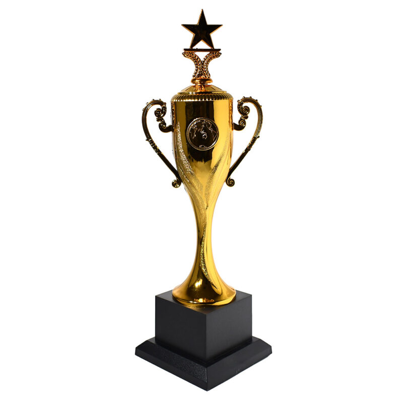 Copa Estrella - Imagen 3