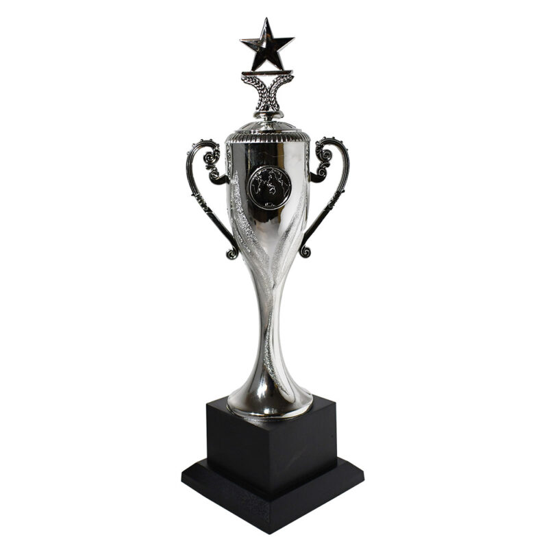Copa Estrella - Imagen 2