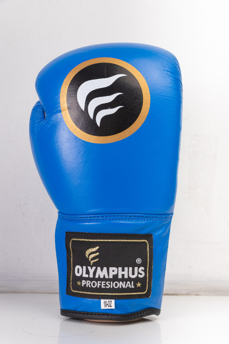 Guante Box Cuero Profesional