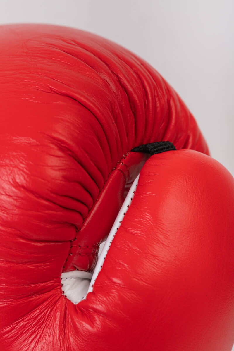 Guante Box Cuero Profesional - Imagen 5